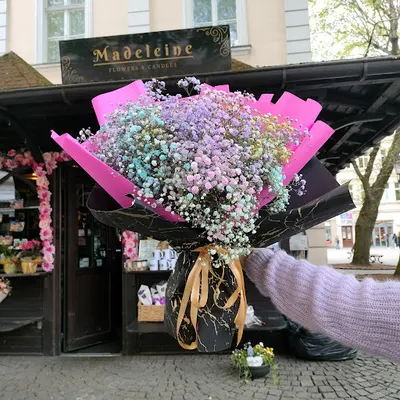 Kwiaciarnia Madeleine Deptak Zielona Góra